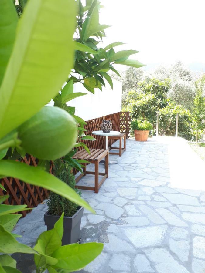 Studios Thea Fresh Rooms Thassos Экстерьер фото